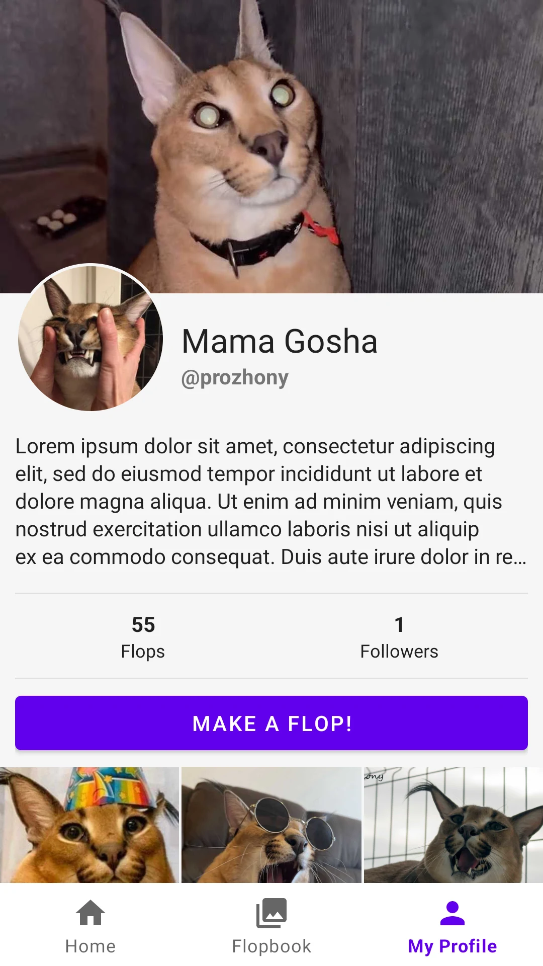 Flopbook Floppa social network screenshot